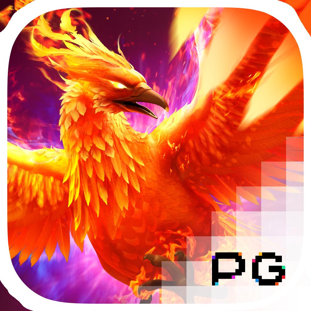 Men's Competition Barbell Set
